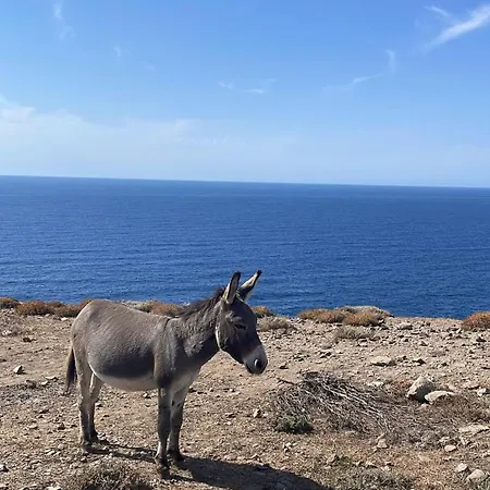 Liliana Your Private Oasis With Pool فيلة